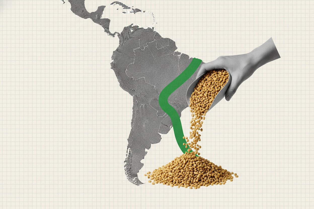 Can Brazil Overtake Argentina in Soybean Crushing?