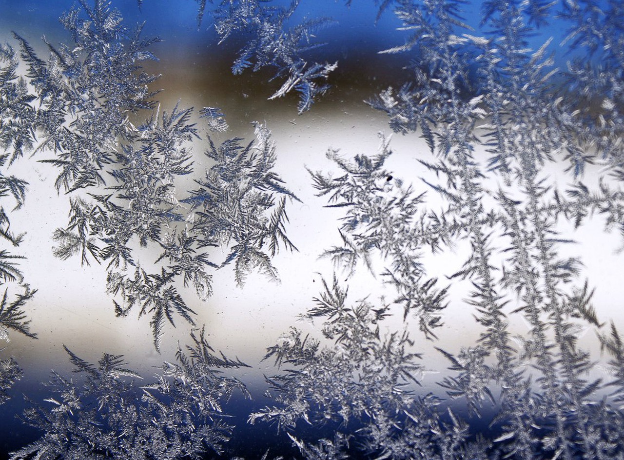 Macro photography of a single intricate snowflake on a cold surface.